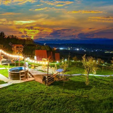 Hotel Pensiunea La Maria Lu' Sandoiu Poenari Exterior foto